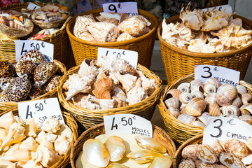 différents paniers de coquillages disponible à la vente sur un marché dans le département de la Vendée en France