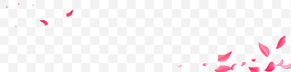 Pink Lotus Spring Vector Transparent Panoramic