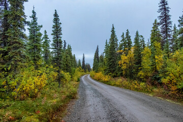 Fototapeta na wymiar The Road to Valley of Ten Thousand Smokes, Katmai National Park, Alaska