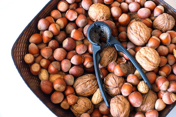 consumption of hazelnuts and walnuts for a healthy diet
