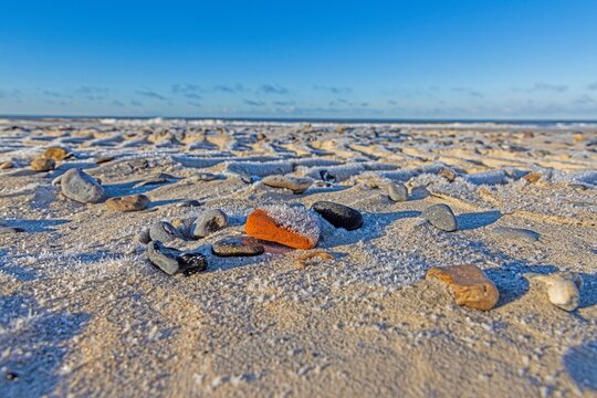 Image of shells and stones on a North Sea beach in Denmark in winter
