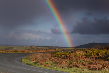 Cornish Rainbow