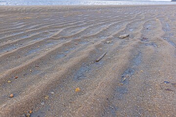 Image of shells and stones on a North Sea beach in Denmark in winter