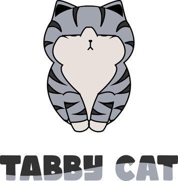 Web cute cat character, named tabby cat