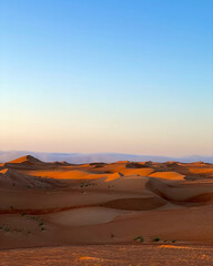 Fototapeta na wymiar endless dunes