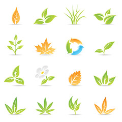 Fototapeta premium Glossy Leaves with Recycling Symbol and Daisy Flower