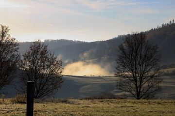 Obraz na płótnie Canvas Wald im Nebel bei Sonnenuntergang