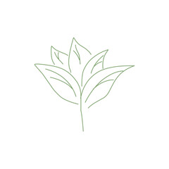 tobacco leaf vector. tobacco icon. cigarette.
