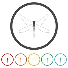 Dragonfly icon. Set icons in color circle buttons