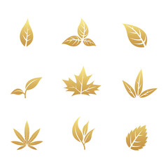 Golden Leaf Icons on a White Background