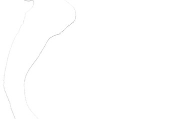 Torn Paper with Transparent Background 