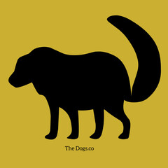 dog with fox tail silhouette vector