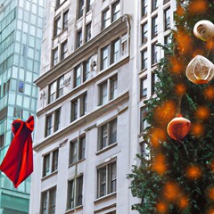 christmas tree in the city