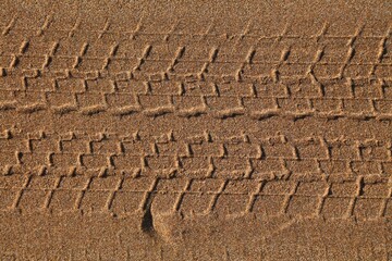 Car wheel track on beach sand