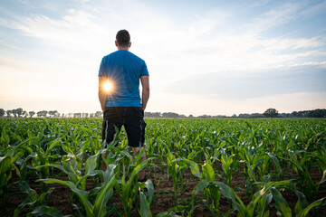 Junger Landwirt steht im Gegenlicht mit den Rücken zur Kamera in einem Maisfeld.