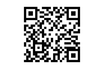 Q R Code dummy vector