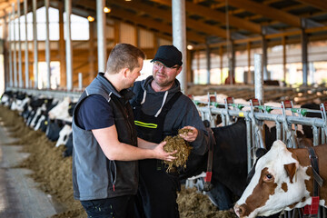  Landwirt und sein Auszubildender besprechen die Futterration im Rinderstall.