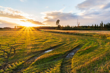 Fototapeta premium sunset over the field. Jakobstad/Pietarsaari, Finland