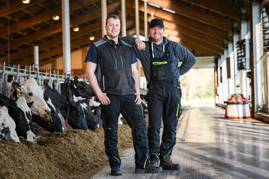Hofnachfolge - Generationswechsel in der Landwirtschaft. Landwirt im modernen Rindviehstall mit seinem Sohn.