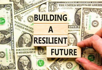 Building a resilient future symbol. Concept word Building a resilient future on wooden blocks. Beautiful background from dollar bills. Business and building a resilient future concept. Copy space.