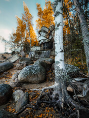 autumn in the forest
