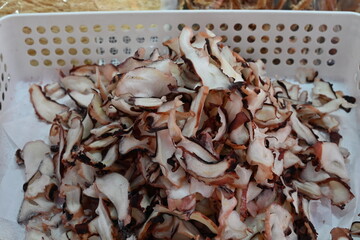 South korea dried octopus legs slice