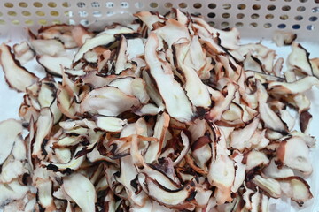 South korea dried octopus legs slice