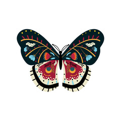 Colorful butterflie with floral ornament.