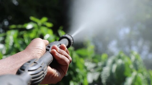 High pressure water gun being pointed and sprayed to the green nature that is forming mist