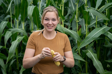 Überprüfung von Maiskolben an einen Maisfeld durch eine angehende Landwirtin, die sich freut.