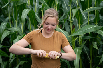 Überprüfung von Maiskolben an einen Maisfeld durch eine angehende Landwirtin, die sich freut.