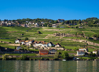 Fototapeta na wymiar View from Lake Geneva in Switzerland at the village of Rivaz and the Lavaux vineyard terraces - Unesco Heritage