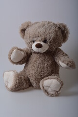gray teddy bear on a light background