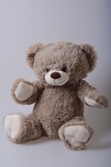 gray teddy bear on a light background - 557231588