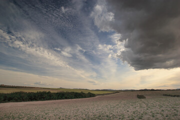 Fototapeta premium Campo de secano en barbecho y cielo con nubes, al atardecer Cagitán de Mula (Murcia, España).