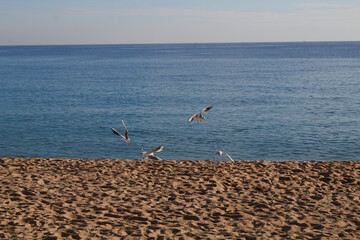 Strand bei schlechtem Wetter in Blanes, Sonnenuntergang