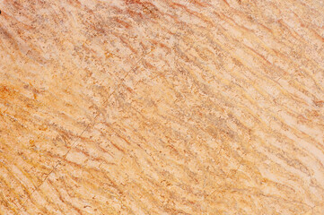 Ripples in Sandstone