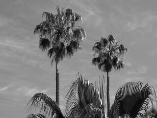Die Kanareninsel Teneriffa