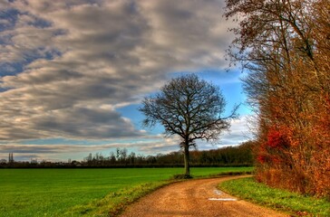 Obraz premium Paysage de campagne.