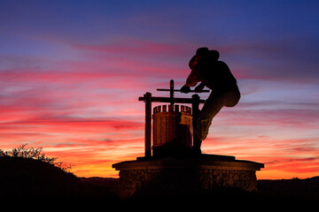 Wine country sunset