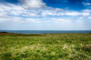 Obraz premium East Riding Coast