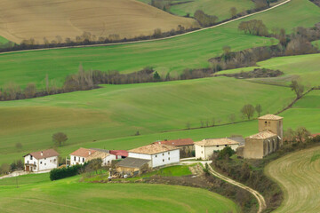 Idoate between cereal fields in winter. Izagaondoa, Navarra