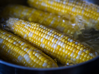 Boiling corn.
