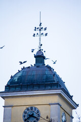Fototapeta na wymiar Many doves on the dome and the cross of the Catholic Church