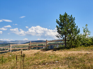 Fototapeta na wymiar Wooden fence and a pine tree in Park Prirode Piva, Pluzine, Montenegro. Beautiful nature background