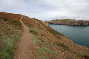 Fototapeta na wymiar Walking path on Skomer Island, Pembrokeshire Coast National Park, Wales, United Kingdom