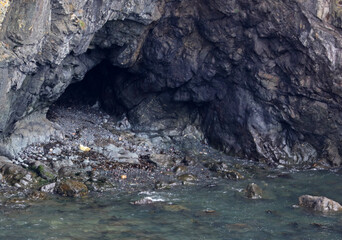 Cave with grey seal puppy near Skomer Island, Pembrokeshire Coast National Park, Wales, United Kingdom