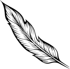 Bird feather. Boho style. Vector illustration in line art hand drawn style isolated on white. Sketch for tattoo, coloring book page, invitations, logo, label