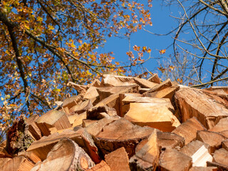pile of firewood