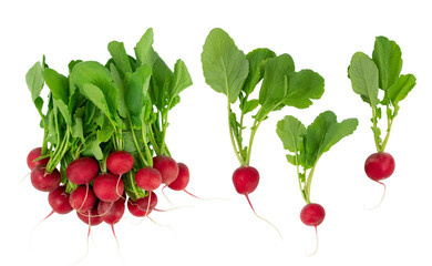 Fresh red garden radish isolated on white background. raw vegan healthy concept.
